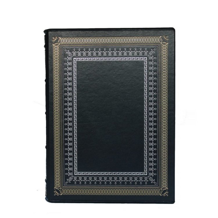 Книга в кожаном переплете Энергия будущего на английском языке - Мазур И.И. BG1371F, фотография в футляре