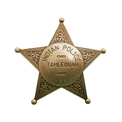 Значок полицейского США