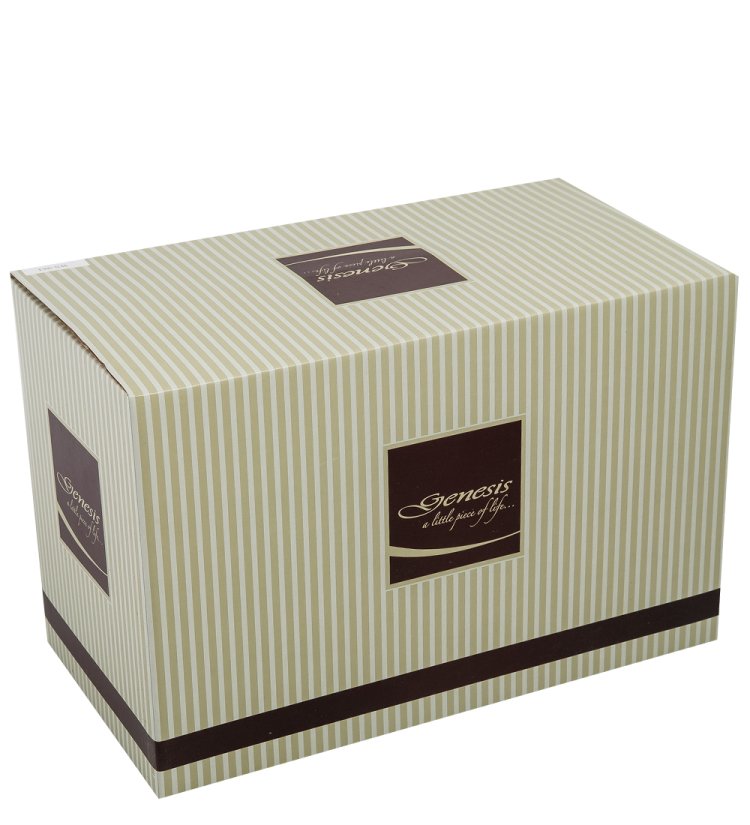 Статуэтка Скрипач Veronese WS-961, упаковка