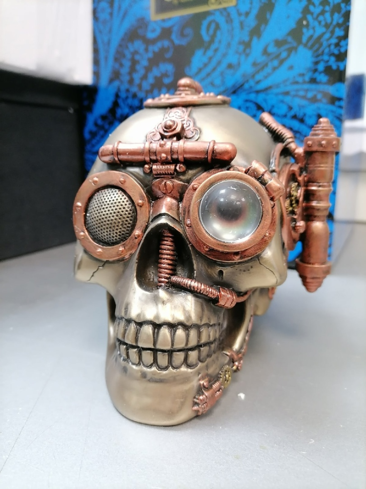 Шкатулка в стиле Стимпанк Череп Veronese WS-387, фото со склада