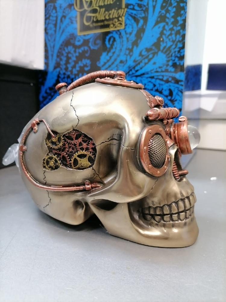 Шкатулка в стиле Стимпанк Череп Veronese WS-387, фото со склада вид со стороны