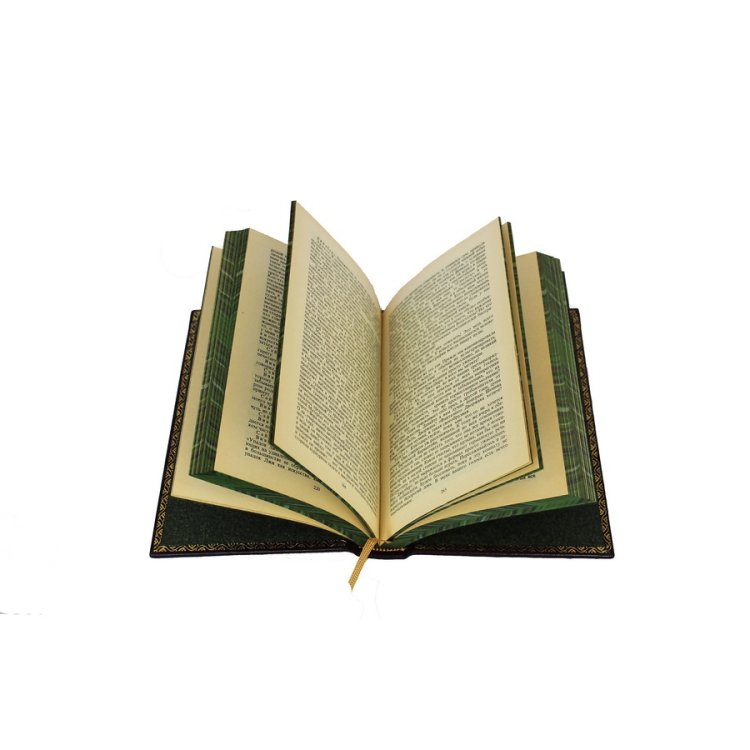 Книги в кожаном переплете Бердяев Н.А. - Собрание сочинений в 2 томах BG1373S, фотография разворота книги