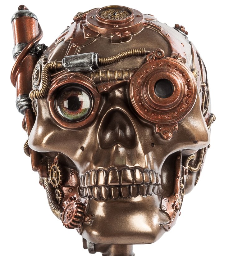 Фигура в стиле Стимпанк Череп Veronese WS-388, вид профиль