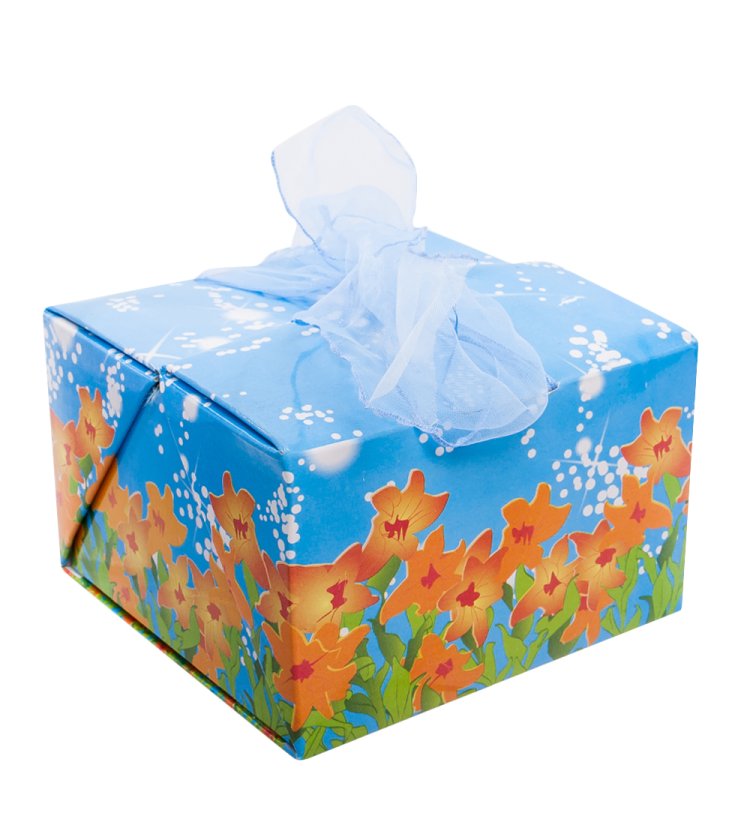 Статуэтка из фарфора Ангелочек карапуз лежит на животике Pavone JP-34/ 5, фотография коробочки