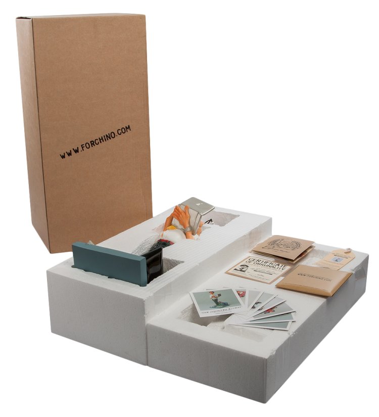 Статуэтка Деловой Программист - The Computer Expert Forchino FO-85530, упаковочный вид