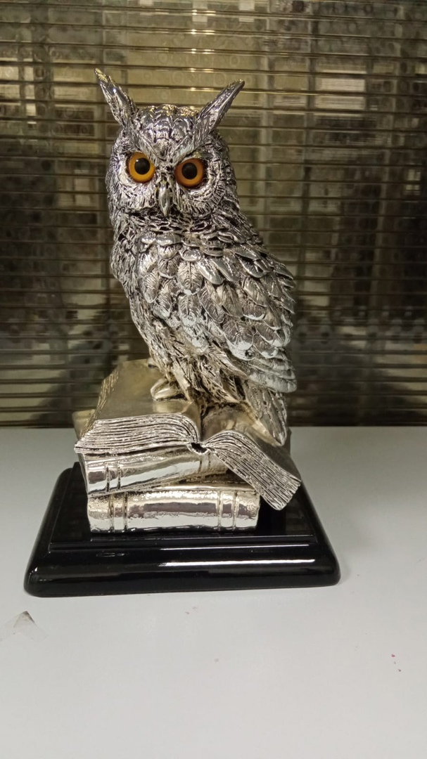 Статуэтка Ученый Филин, фото со склада