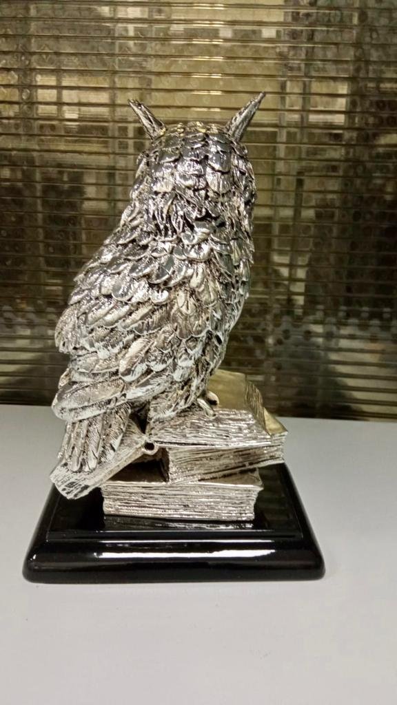 Статуэтка Ученый Филин, фото со склада оборотная сторона