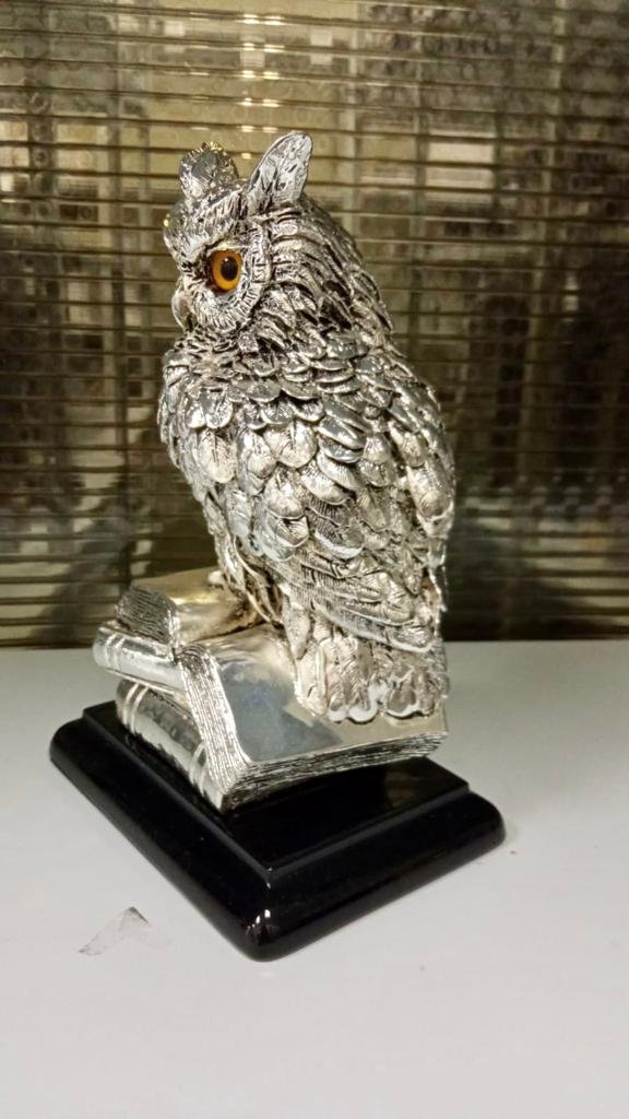 Статуэтка Ученый Филин, фото со склада вид с другой стороны