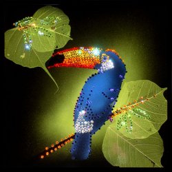 Картина Тукан c кристаллами Swarovski