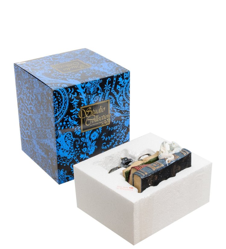 Шкатулка Дракон на книгах Veronese WS-844, фотография упаковки