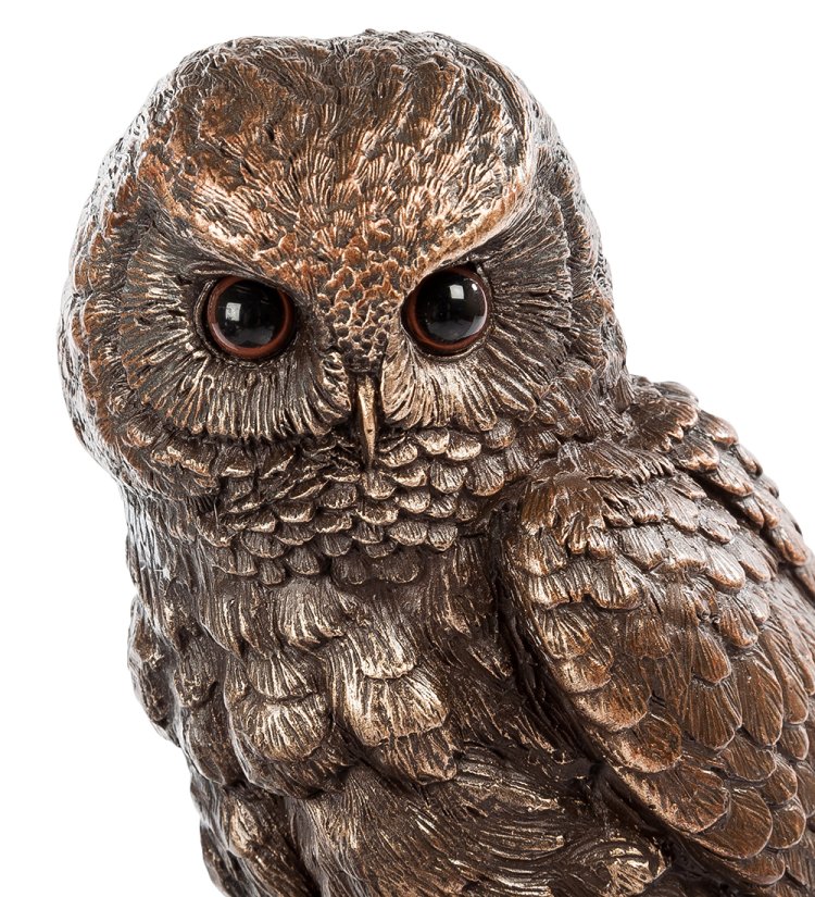 Статуэтка Сова на страницах книги Veronese WS- 86/ 1, портретный вид