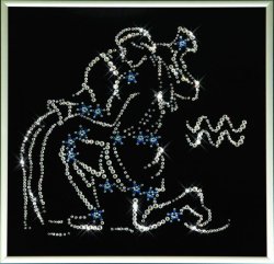 Картина Звездный водолей c кристаллами Swarovski