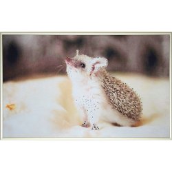 Картина Ёжик c кристаллами Swarovski