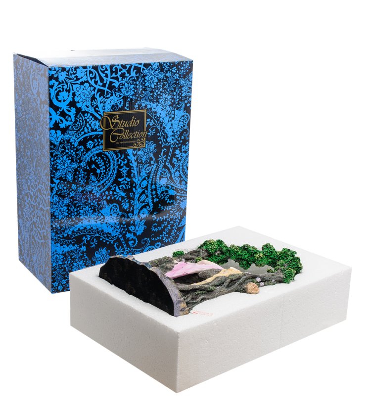 Статуэтка в стиле Фэнтези Спящая красавица - Селина Фенек Veronese WS-266, упаковочный вид