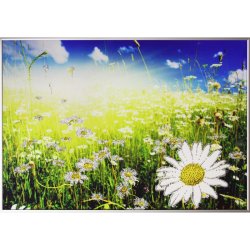 Картина Ромашковое поле c кристаллами Swarovski