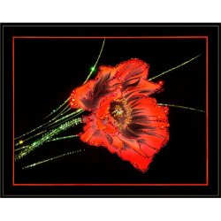 Картина Маковый шарм c кристаллами Swarovski