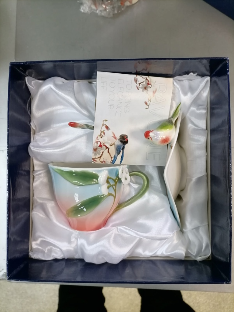 Чайная пара из фарфора с ложечкой Попугай Розелла Pavone FM-79/ 2, фото со склада упаковочный вид