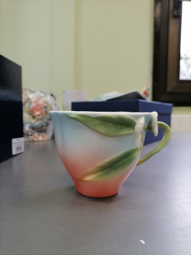 Чайная пара из фарфора с ложечкой Попугай Розелла Pavone FM-79/ 2, фото со склада чашка