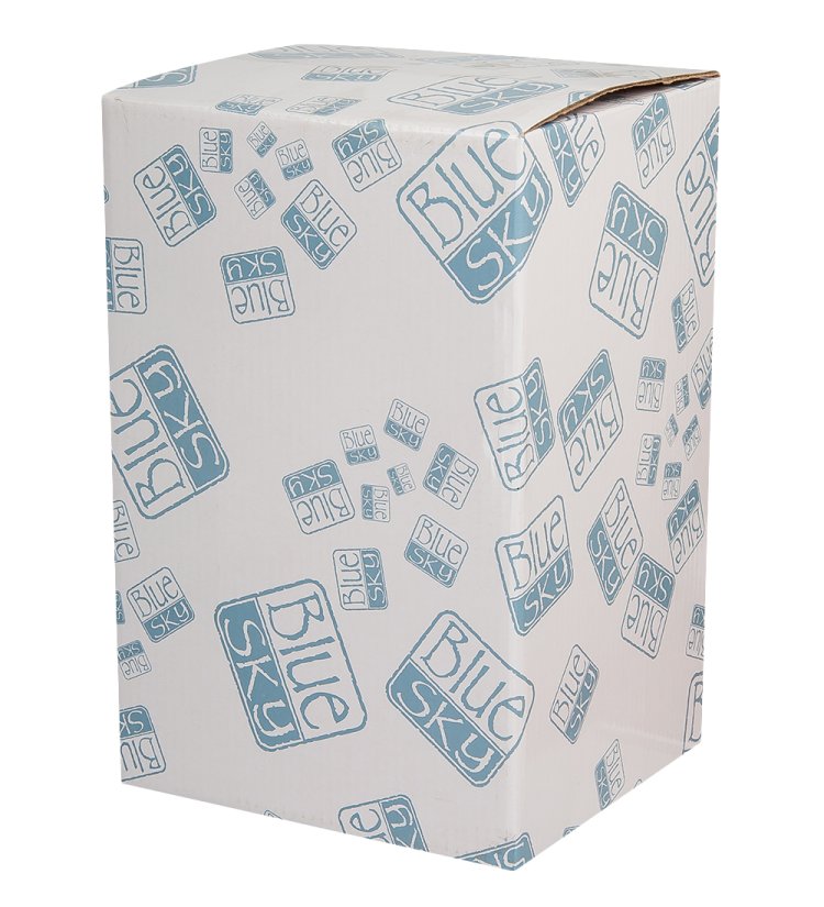 Ваза для цветов Гибискус Blue Sky BS-118, фотография коробки