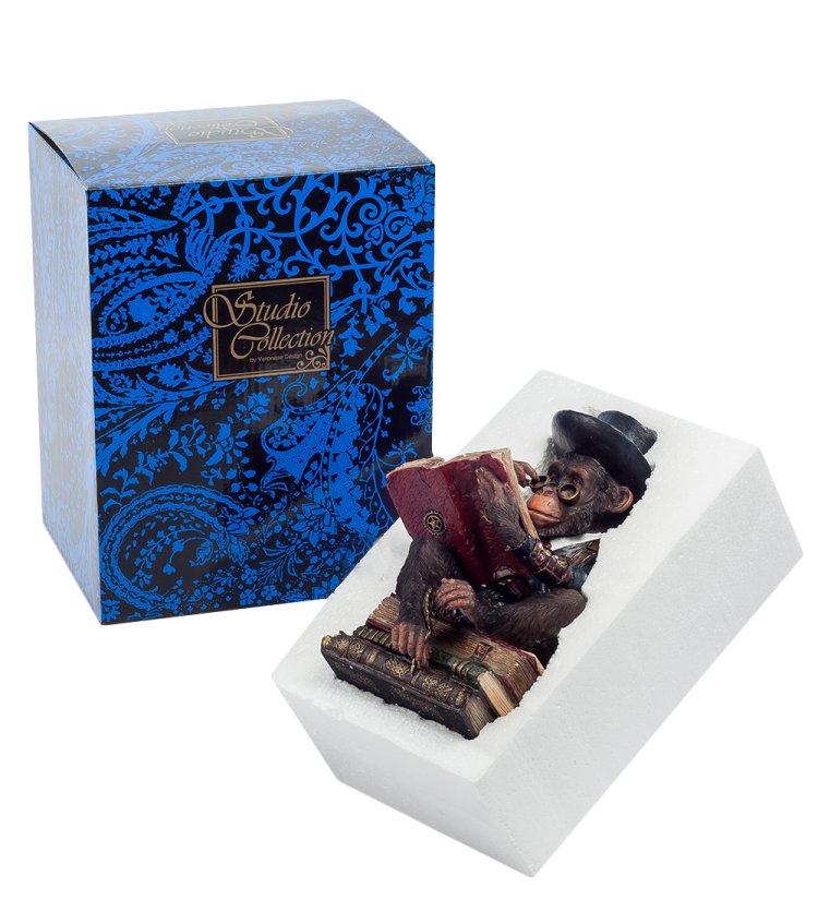 Статуэтка в стиле Стимпанк Обезьяна с книгой Veronese WS-194, упаковочный вид