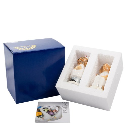 Набор соль-перец Доктора Pavone CMS-14/14, фото упакованного товара