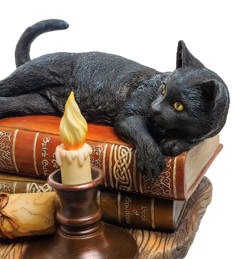 Статуэтка Кот на книгах Veronese WS-843, портретный вид