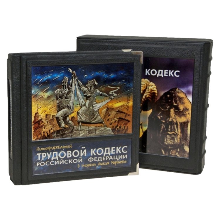 Иллюстрированный Трудовой кодекс Российской Федерации - Меринов А.