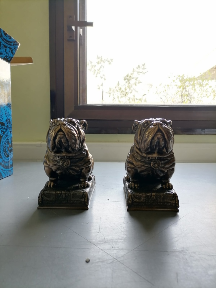 Держатели для книг Два бульдога Veronese WS-884, фото со склада портретный вид