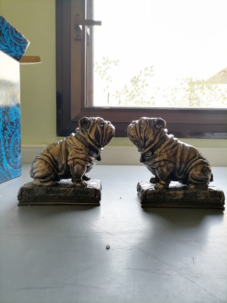 Держатели для книг Два бульдога Veronese WS-884, фото со склада вид профиль