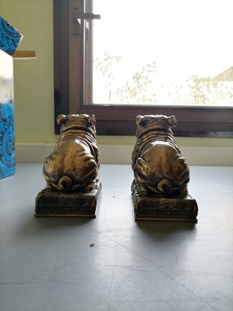 Держатели для книг Два бульдога Veronese WS-884, фото со склада оборотная сторона