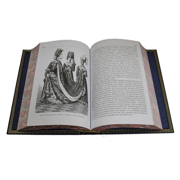 Книга кожаном переплете История Франции с древнейших времен, 2 тома - В. Дюрюи BG8550M, фотография разворота