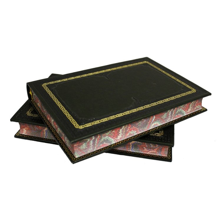 Книга кожаном переплете Германия: История цивилизации за 2000 лет, 2 тома - И. Шерр BG6900M, фотография с обратной стороны