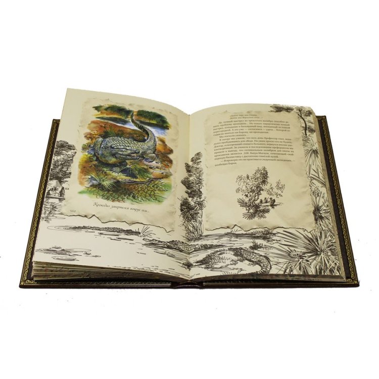 Книга кожаном переплете Роскошь зрелого возраста - Дж. Рокстон BG4708F, фотография разворота