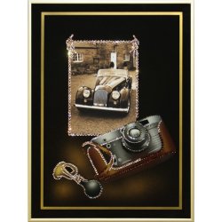 Картина Любительская фотография- Ретро c кристаллами Swarovski