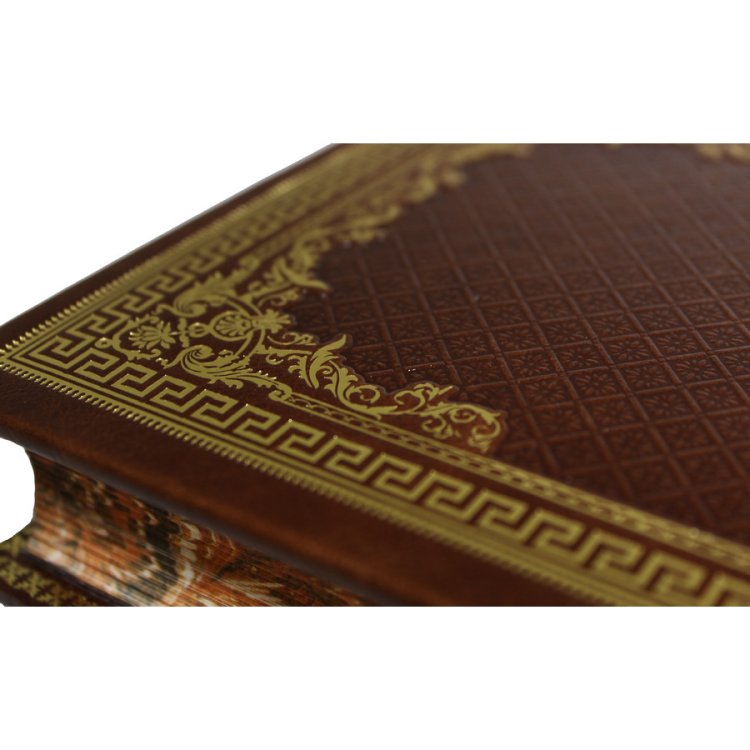 Книги кожаном переплете Библиотека русской классики в 100 томах BG3332M, фотография уголка