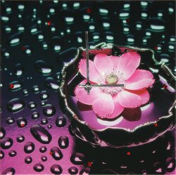 Часы с кристаллами Swarovski - Кувшинка