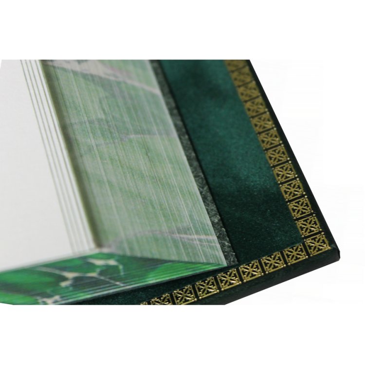 Книга кожаном переплете Трилогия Желаний: Финансист, Титан, Стоик - Теодор Драйзер BG5040F, фотография уголка