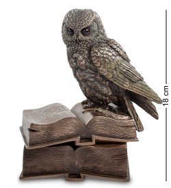 Шкатулка Сова на страницах книги