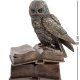 Шкатулка Сова на страницах книги Veronese WS-48/ 1