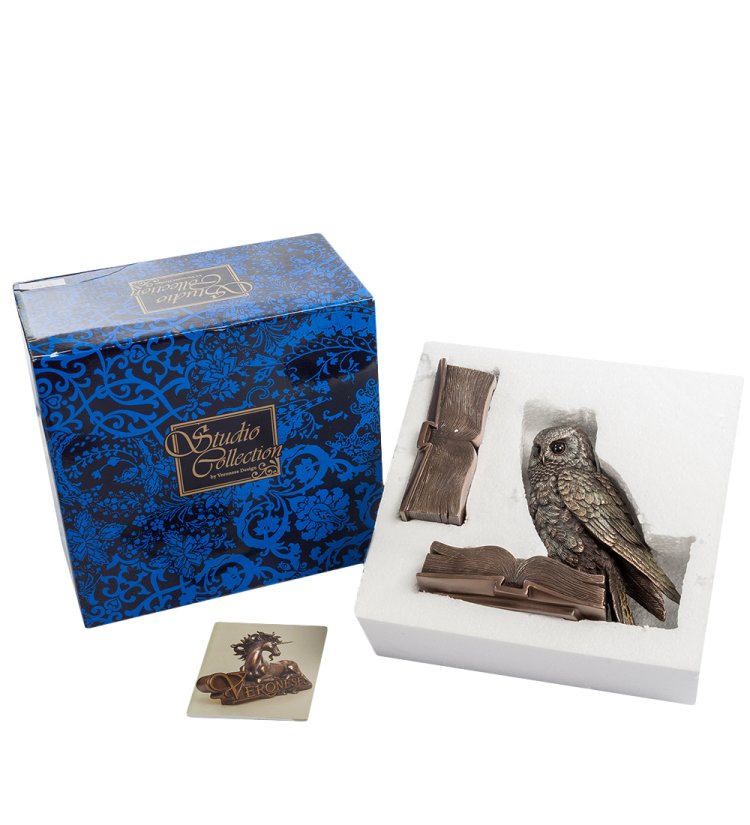 Шкатулка Сова на страницах книги Veronese WS-48/ 1, упаковочный вид
