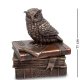 Шкатулка Мудрая сова Veronese WS-72/ 1