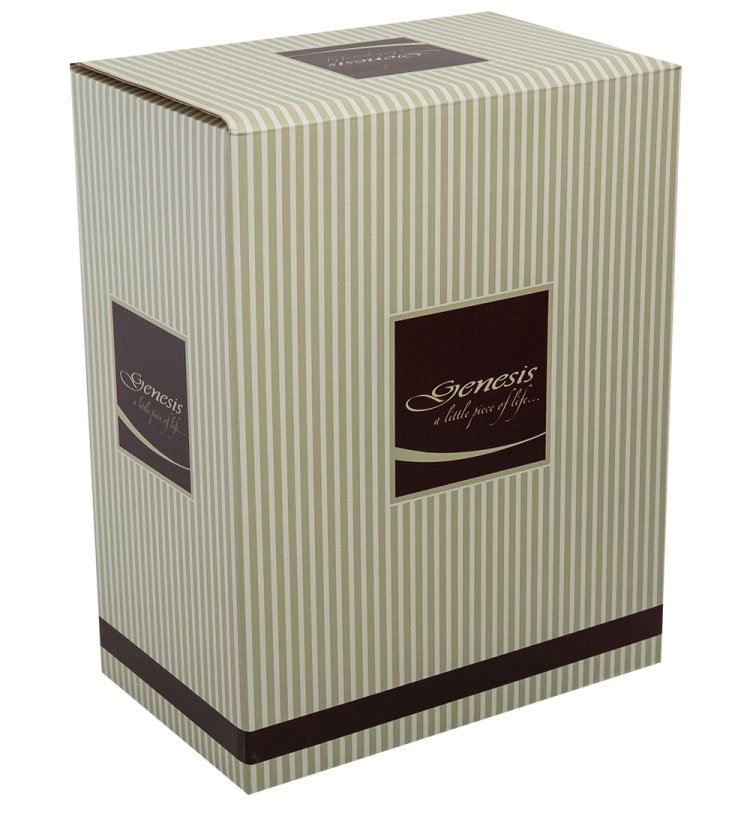 Статуэтка Мать с ребенком - Отражение Души Veronese WS-987, упаковка