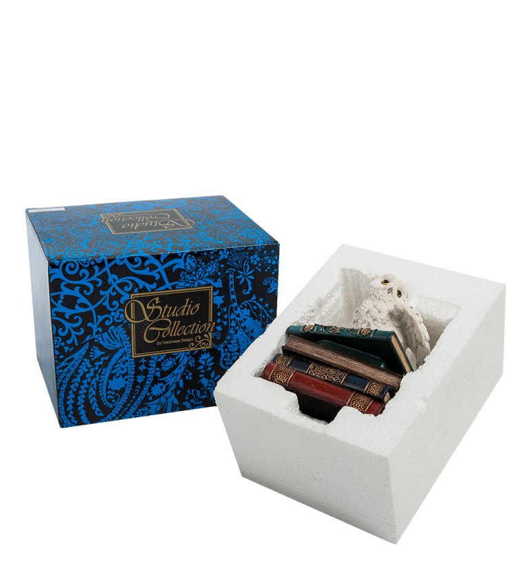 Шкатулка Совенок на книгах Veronese WS-721, упаковочный вид