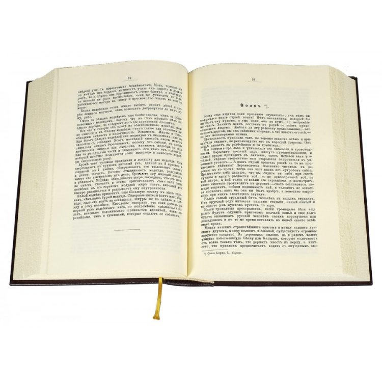 Охота в России во всех ее видах - Вавилов М. П.