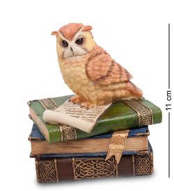 Шкатулка Юная Сова на книгах