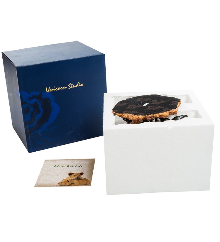 Статуэтка Императорский скорпион Veronese WS-718, упаковочный вид