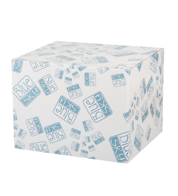 Копилка из керамики Пудель Blue Sky BS-221, фотография коробки