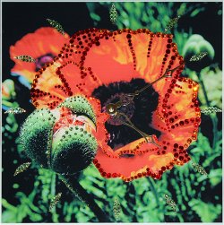 Часы с кристаллами Swarovski - Маки