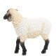 Статуэтка Маленькая овечка Veronese WS-715, оборотная сторона