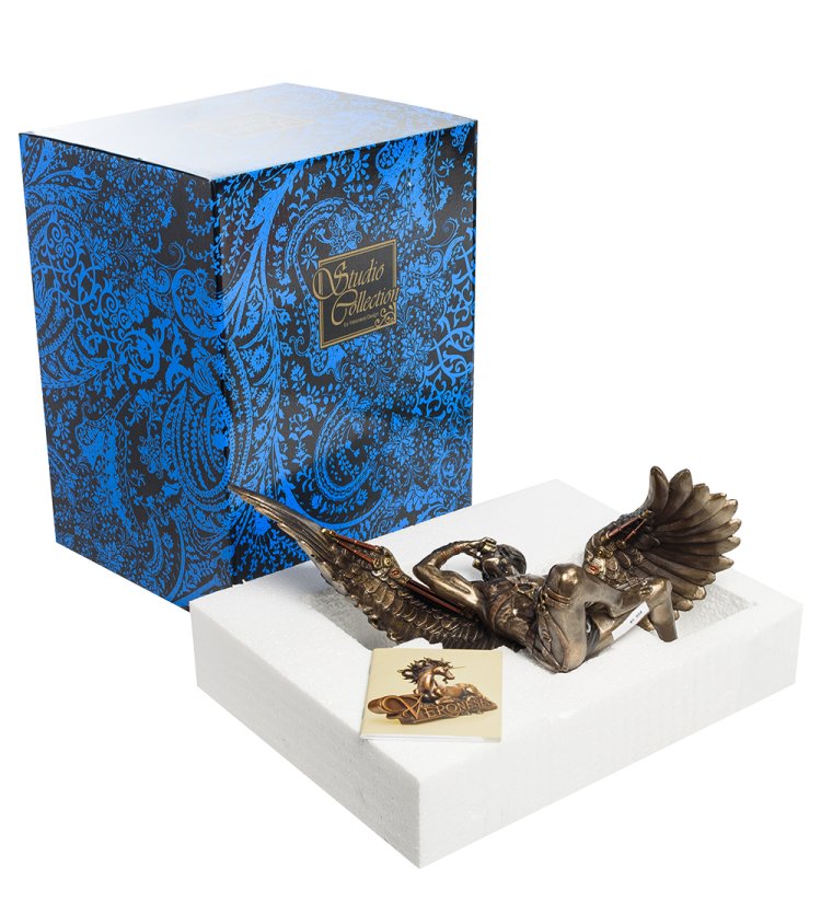Статуэтка в стиле Стимпанк Мужчина-Ангел Veronese WS-904, упаковочный вид